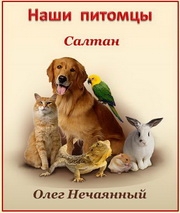 Олег Нечаянный. Салтан