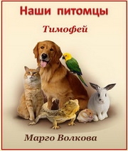 Марго Волкова. Тимофей
