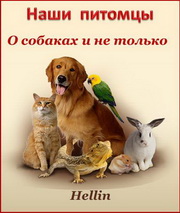 Hellin. О собаках и не только