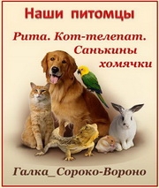 Галка Сороко-Вороно. Рита. Кот-телепат. Санькины хомячки